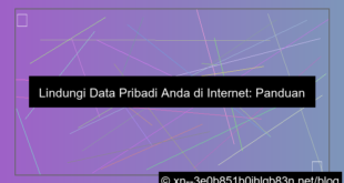 perlindungan data pribadi internet