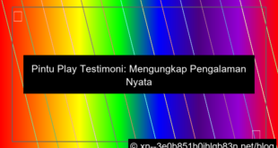 visual pintu play testimoni