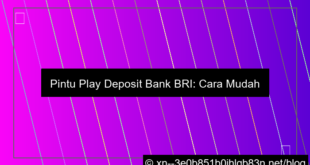 pintu play deposit bank bri